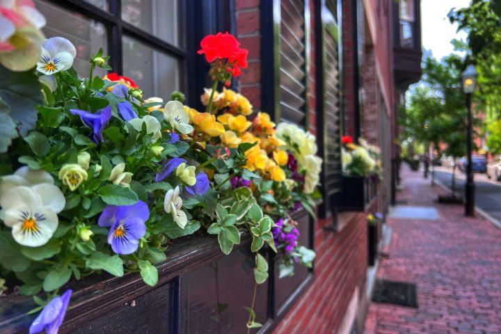 Beacon Hill Boston Walking Tour