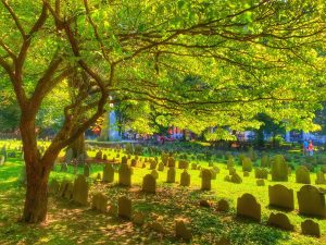 Walk the Freedom Trail