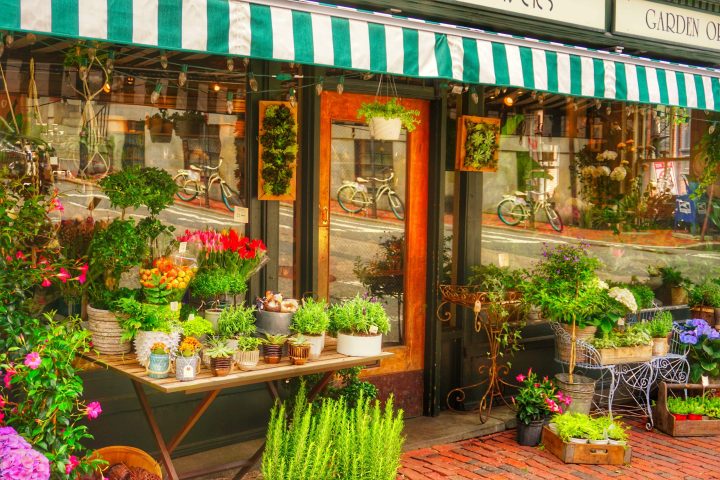 Beacon Hill Boston Walking Tour