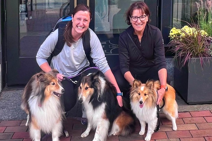 a person and a dog on a leash in front of a building