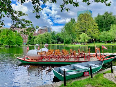 Swan Boats Boston