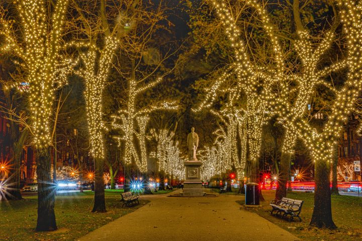Comm. Ave Night Tour