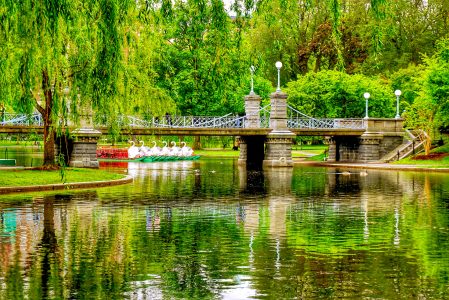 Boston Public Garden