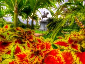 Boston Public Garden