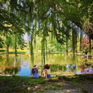 Boston Public Garden