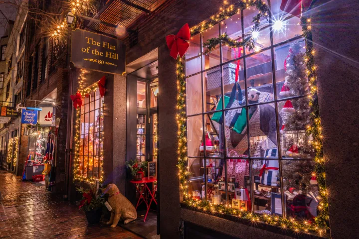 Beacon Hill Holiday Lights Boston Night Tour