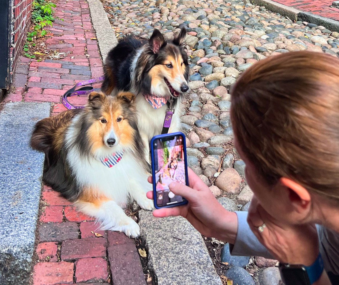 a person holding a dog